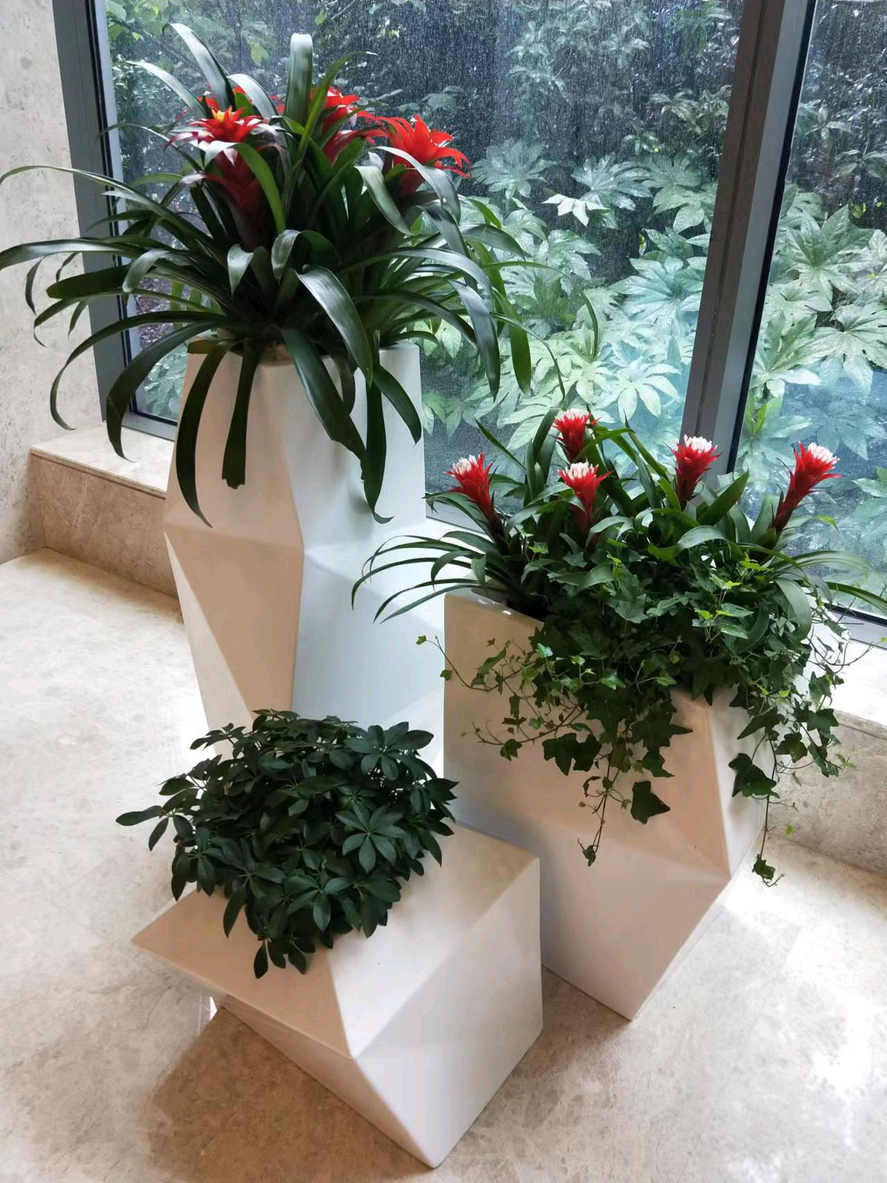 綠色生活，從專業(yè)租賃開(kāi)始 一站式花卉綠植服務(wù)，打造詩(shī)意空間